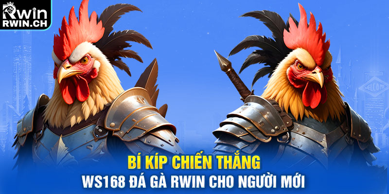 Bí kíp chiến thắng WS168 đá gà RWIN cho người mới