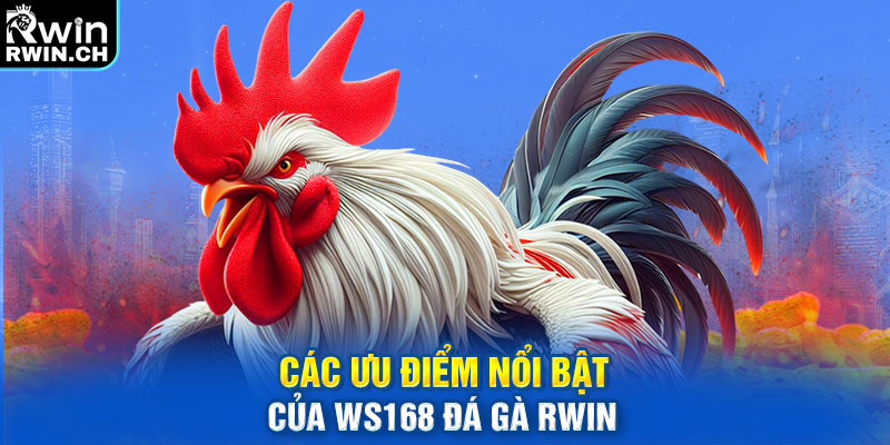 Các ưu điểm nổi bật của WS168 đá gà RWIN