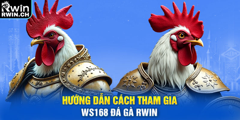 Hướng dẫn cách tham gia WS168 đá gà RWIN 