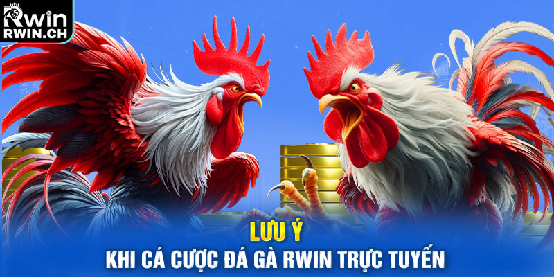 Lưu ý khi cá cược đá gà RWIN trực tuyến