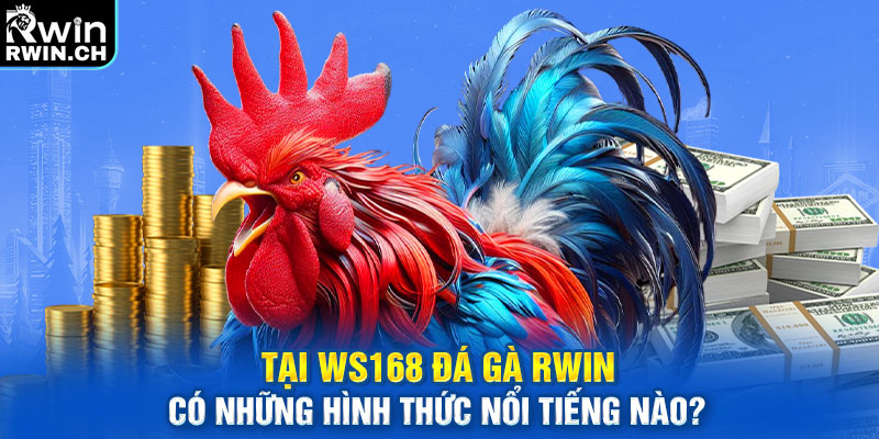 Tại WS168 đá gà RWIN có những hình thức nổi tiếng nào?