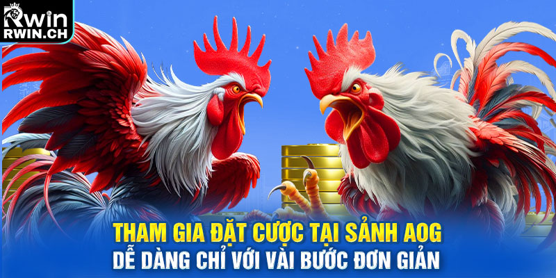 Tham gia đặt cược tại sảnh AOG dễ dàng chỉ với vài bước đơn giản